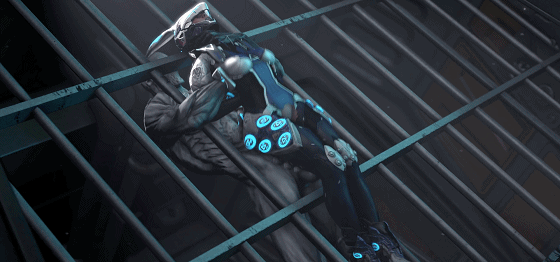 gn5w5m.gif